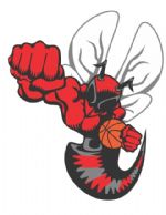 Welcome to the Hornets Nest!